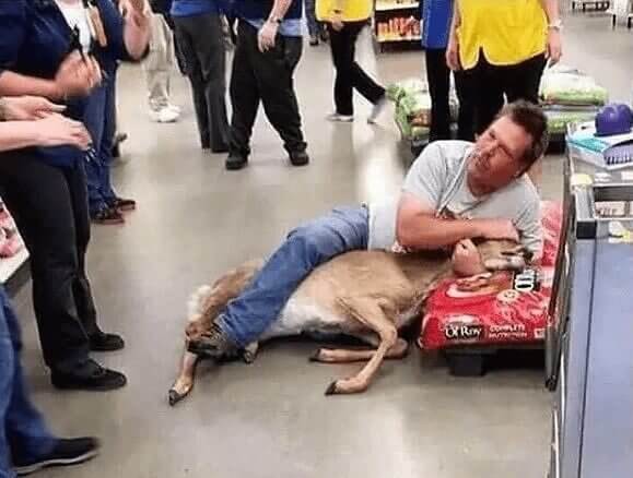 You're Not Really American Until You Wrestle A Deer On Top Of Ol' Roy Dog Food At Walmart
