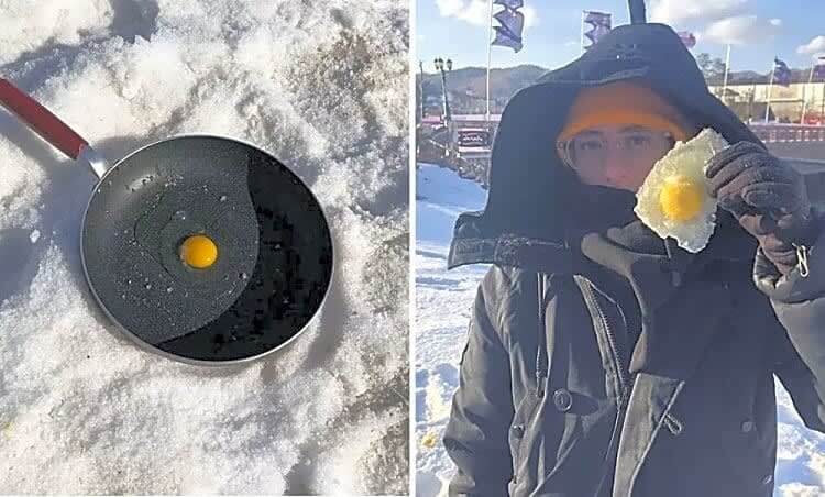 Who Needs Fried Eggs Anyway