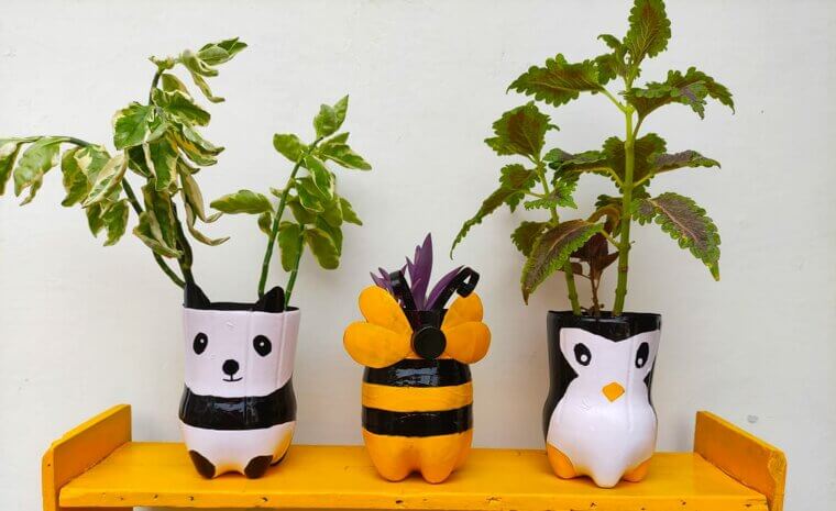 Plastic Bottle Plant Pots That Add Charm to Any Window Sill