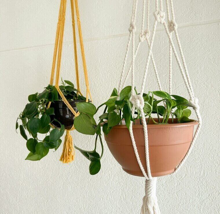 Macramé Hangers Are an Affordable Way to Elevate Your Space