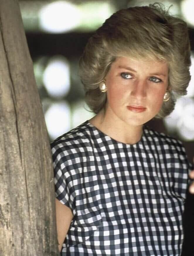 Diana Was Scared but Ready to Confront Camilla