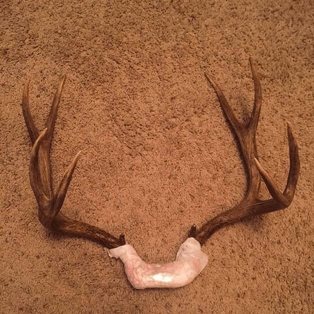 This Is Actually A Bit More Complicated Than We Thought