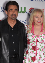 Television Shows With Poor Ratings, Ranked