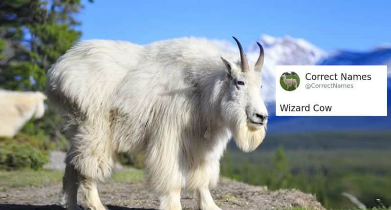 55 Hilarious And More Accurate Names For Everyday Objects