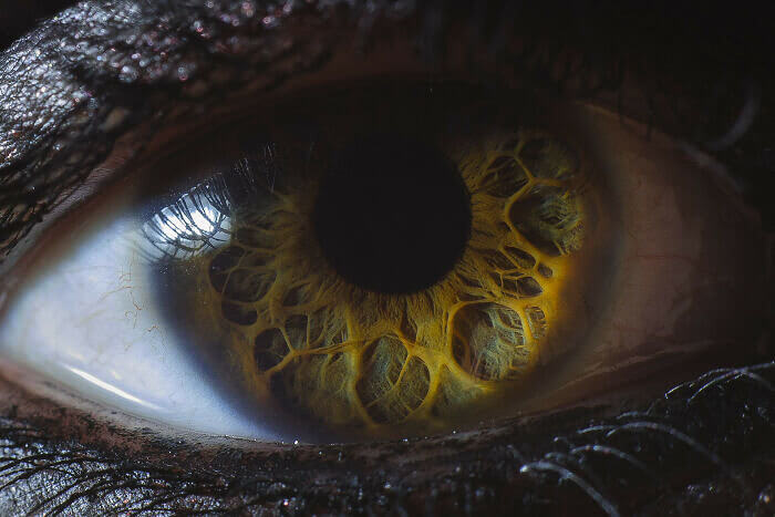 Slnečnicové oko