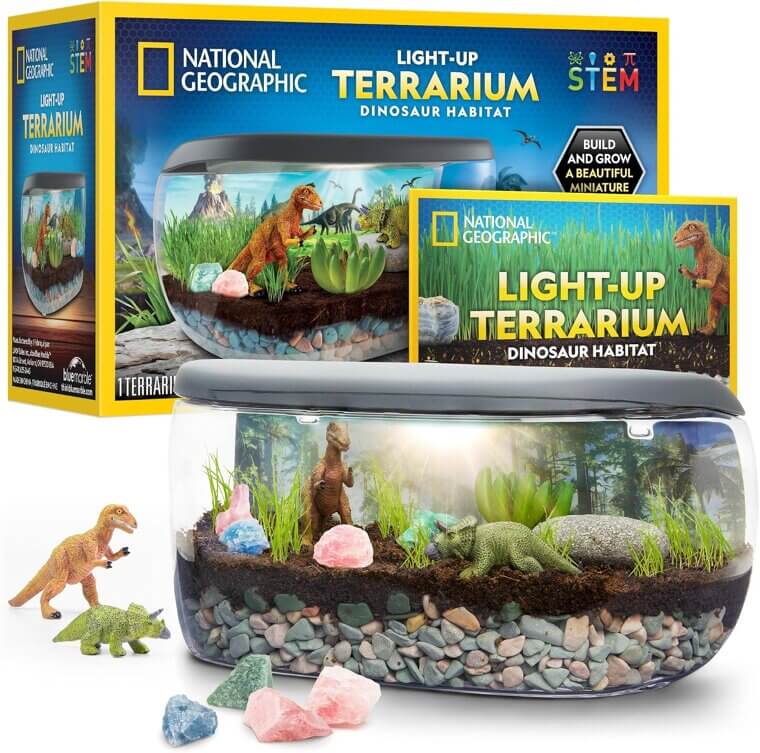 National Geographic Terrarium Kit - Build a Dinosaur World with Real Plants! 