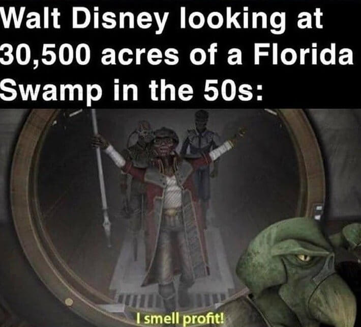 'Do You See What I See? '