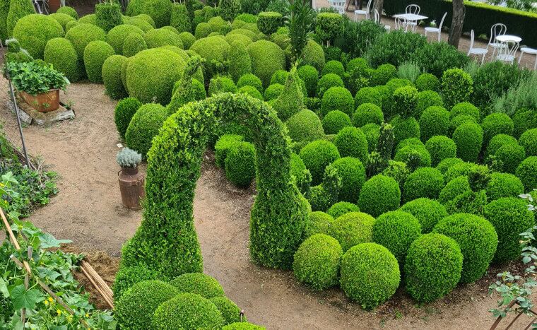 Elaborate Landscaping With High Maintenance Costs