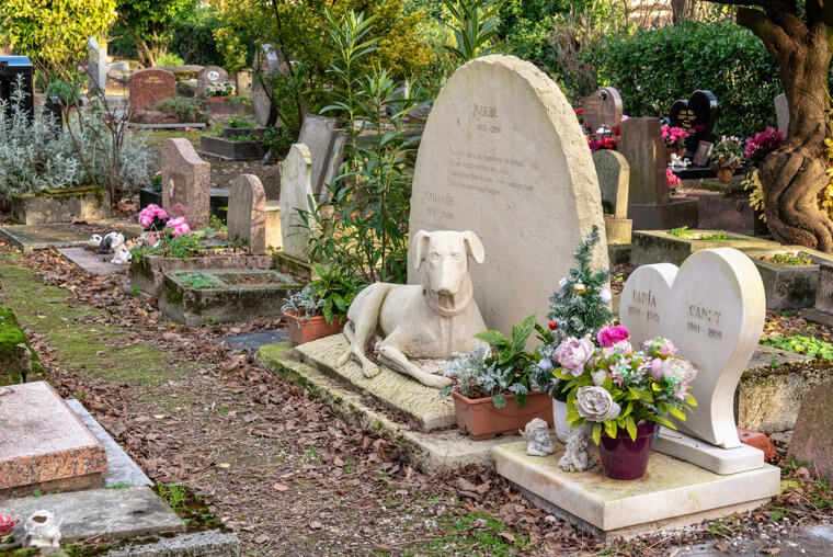 The Mansion Had a Pet Cemetery