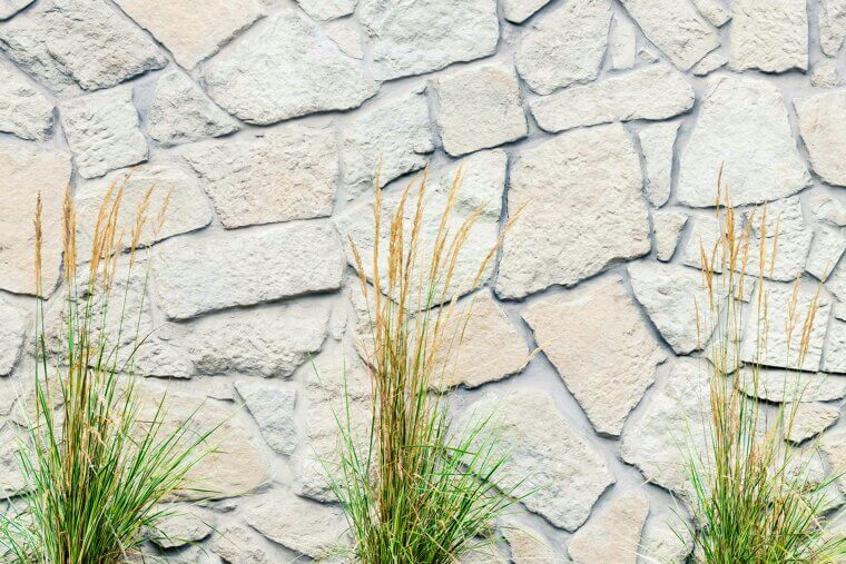 Pull Weeds From Cracks