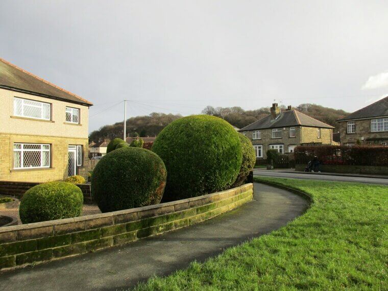 Trim Bushes & Hedges