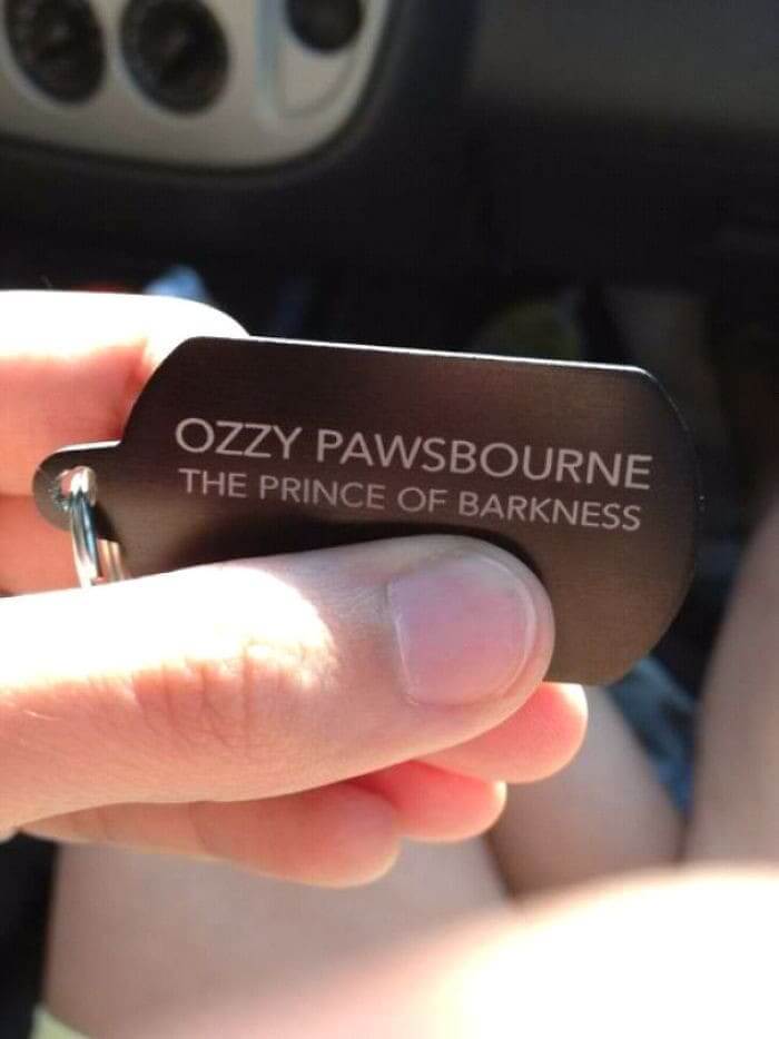 When You Let Your Husband Name The Dog