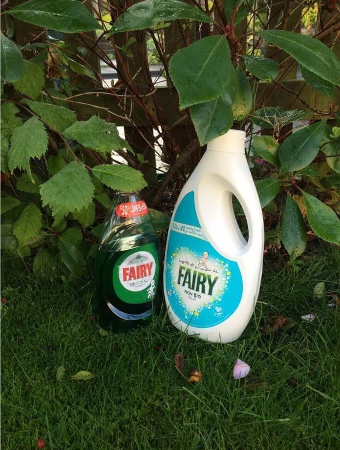 "Fairies In The Garden"