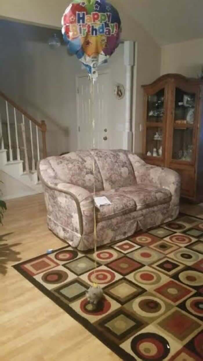 How To Not Lose The Kitten