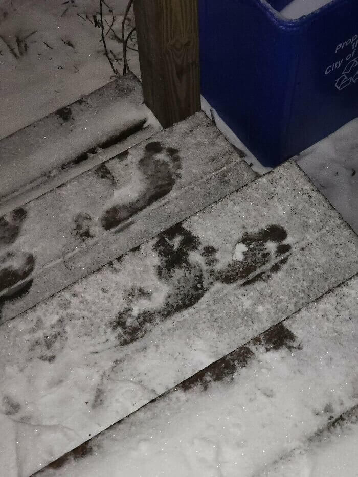 Des empreintes de pieds nus dans la neige