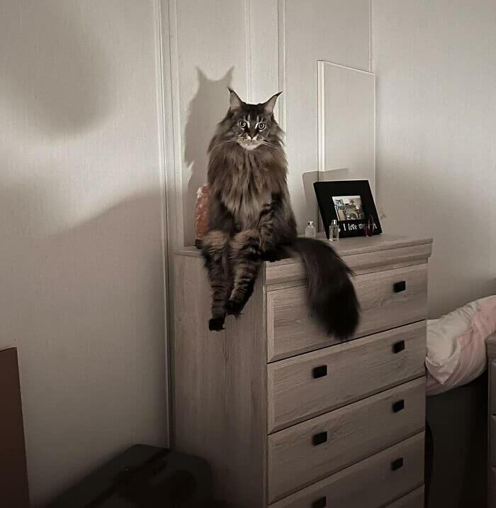 Bonjour, « Propriétaire »...