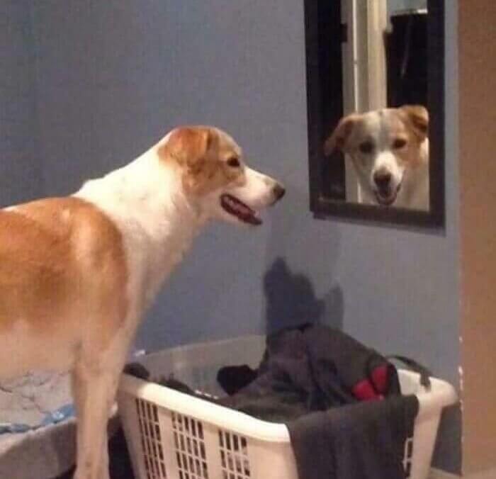 Probablement un bon garçon