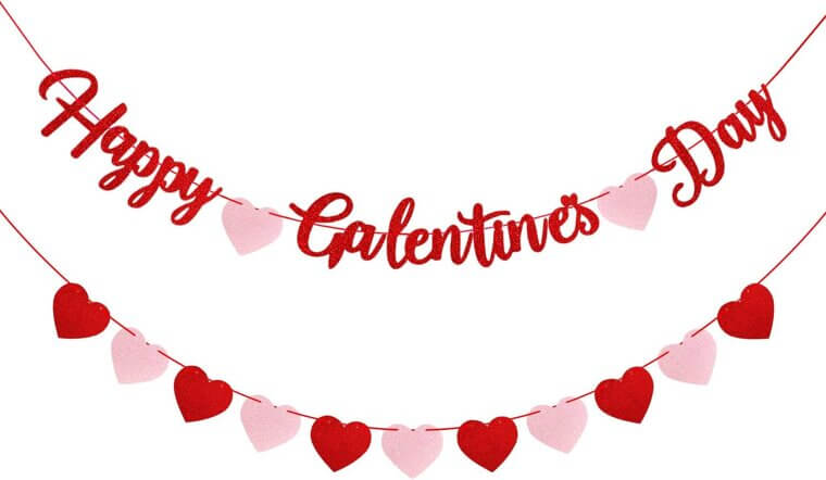 Galentine's Day Banner Set - Perfect Party Decorations! 