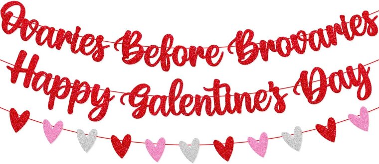Galentine's Day Banner - Celebrate with Style! 
