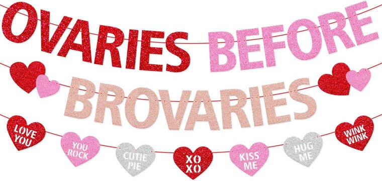 Ovaries Before Brovaries Banner - Celebrate Galentine's Day with Style! 