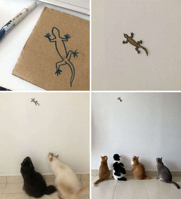 Fooled By a Piece Of Cardboard Again