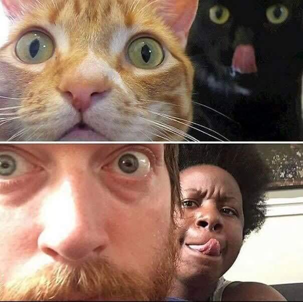 When You Start To Look Like Your Pets