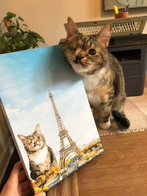 "It Looks Just Like Me"