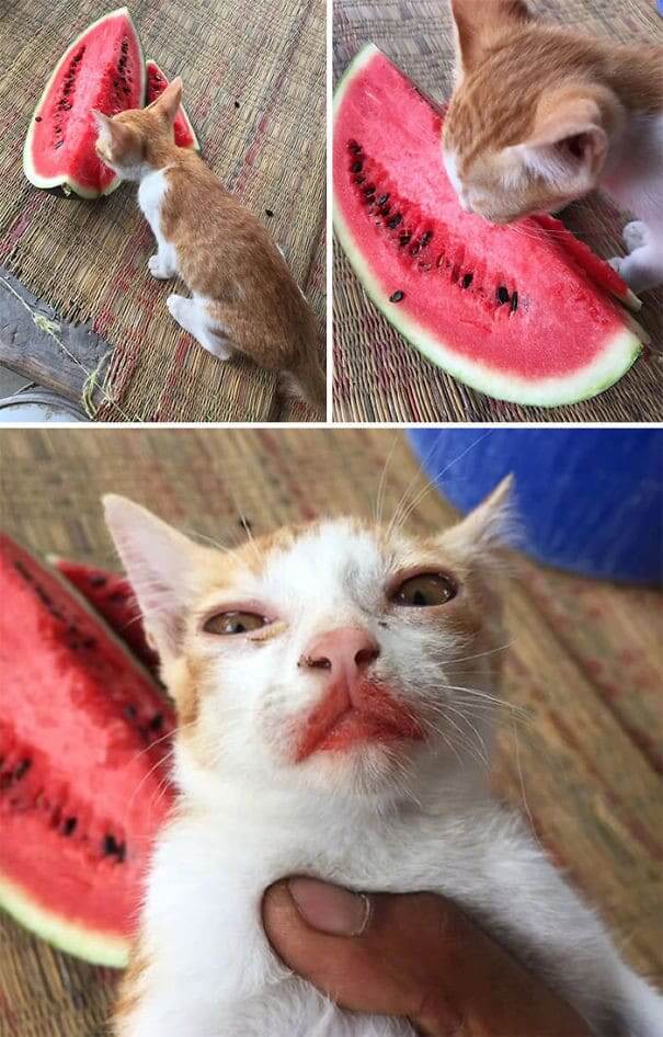 The Watermelon Gave Her The Perfect Pink Pout