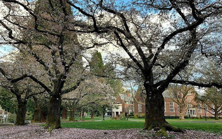 8. Reed College - Oregon