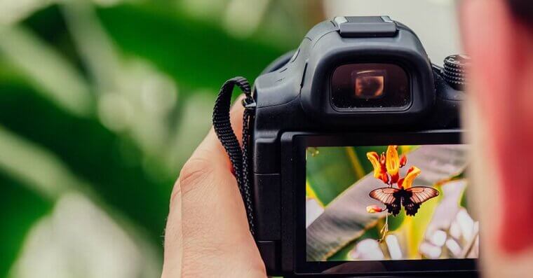 Selling Stock Photos and Videos