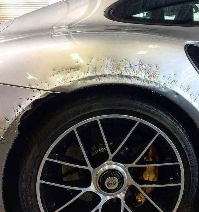 Don't Leave A Large Dog In The Garage With Your Porsche
