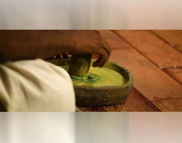 Makeup Ingredients Included Bugs