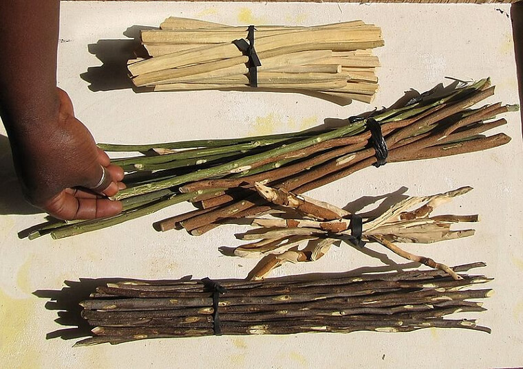 They Brushed Their Teeth, And Had Their Own Toothpaste