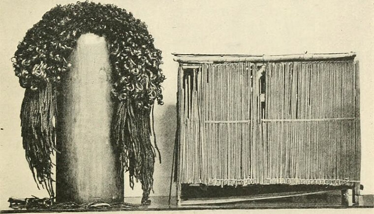 Castor Oil Helped Them Stay Thin