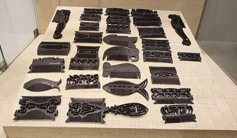 The Egyptians Were Plagued By Lice