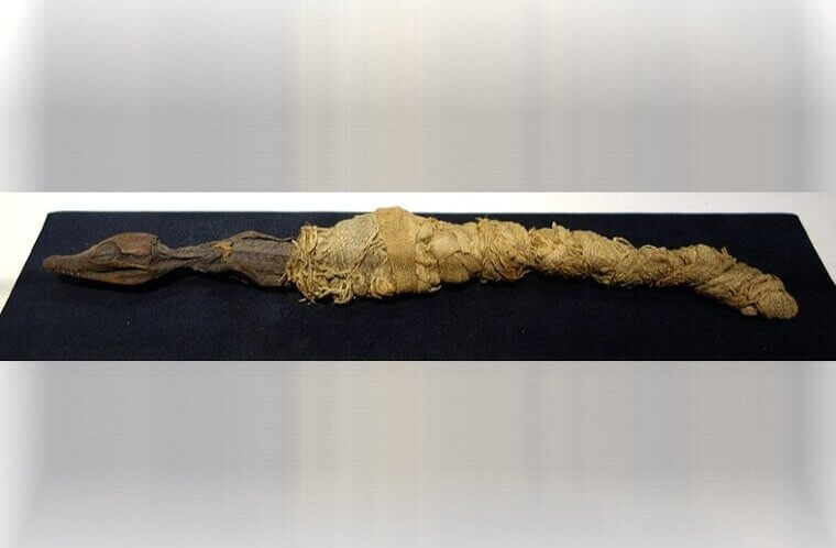 They Had Their Own Forms Of Birth Control