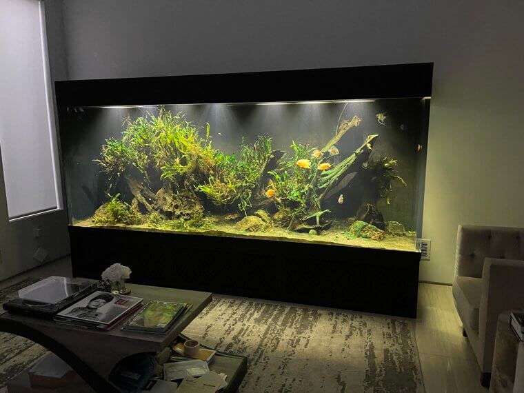 Built-In Aquariums