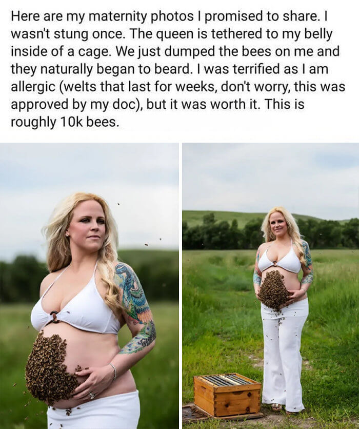 A Belly Full of Bumble Bees