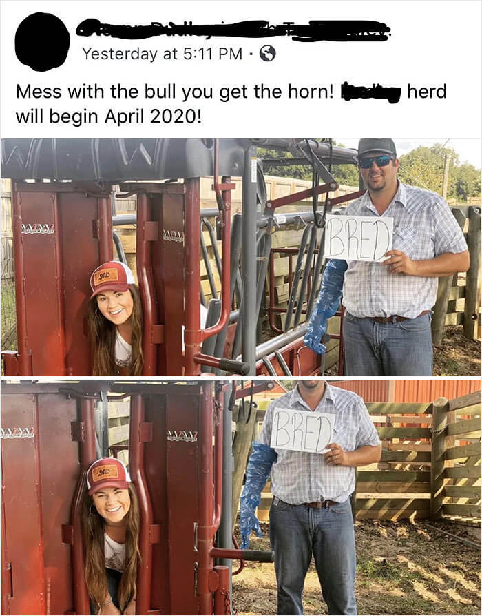 Starting a Herd of Your Own