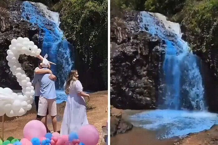 Destroying Nature for a Gender Reveal