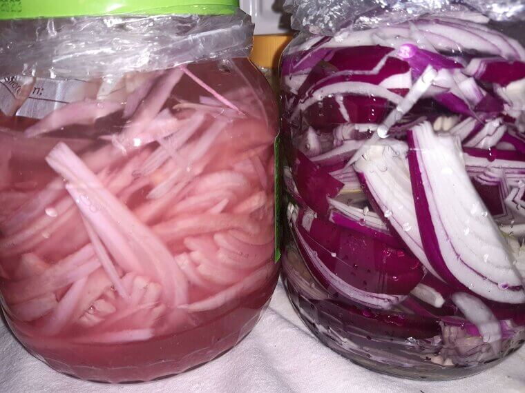 Onion Water for Garden Bugs