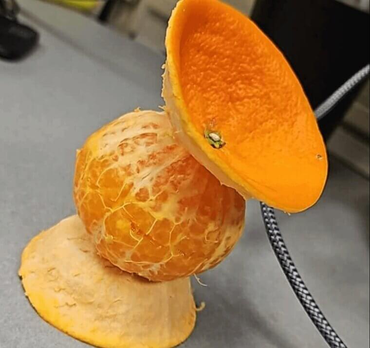 Citrus Peels on Windowsills