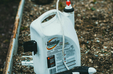 DIY Pest Control Tips That Save Money on Exterminators