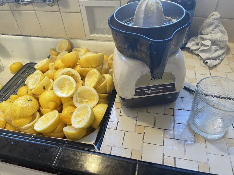 Heavy-Duty Countertop Juicer