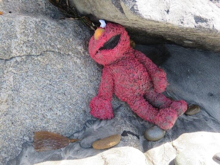 El día de playa de Elmo