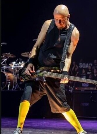 Shavo Odadjian, System of a Down, $20 Million