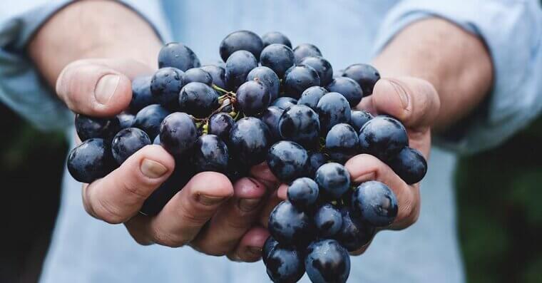 Grapes