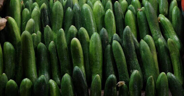Cucumbers