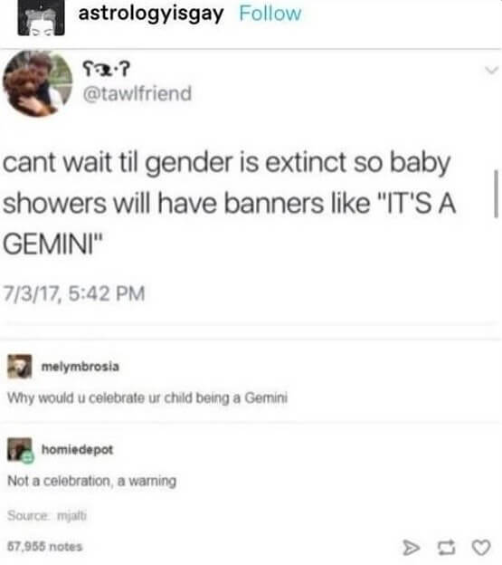 An Astrological Gender Reveal