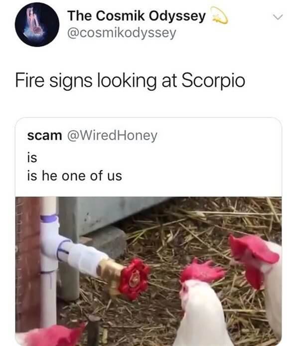 Is He a Fire Sign Like Us?